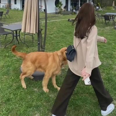 探案新窍门 第二季